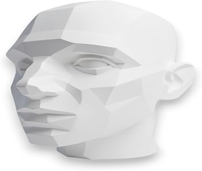 Huge John Asaro Style Planar Head 