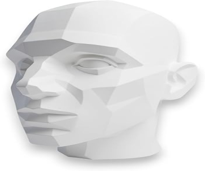 Huge John Asaro Style Planar Head 